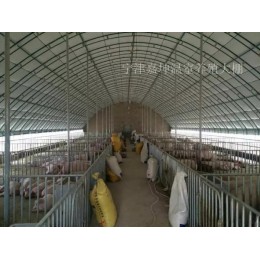 畜牧温室养殖棚 保温养殖棚 养殖牛羊棚 兔棚