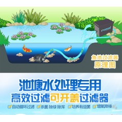 深圳奥力克私家鱼池过滤设计改造